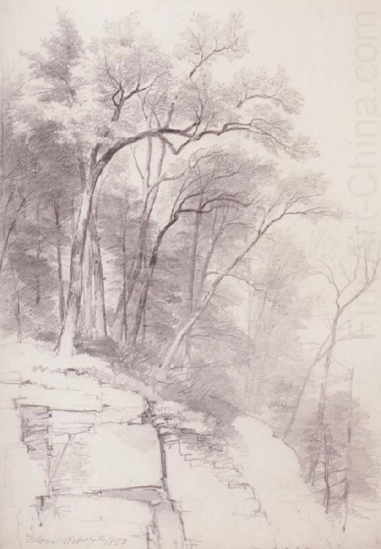 Asher Brown Durand Study of Trees and Rocks,kaaterskill Clove china oil painting image